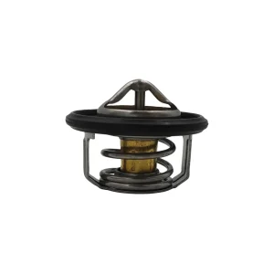 قیمت ترموستات جک S5 GDI