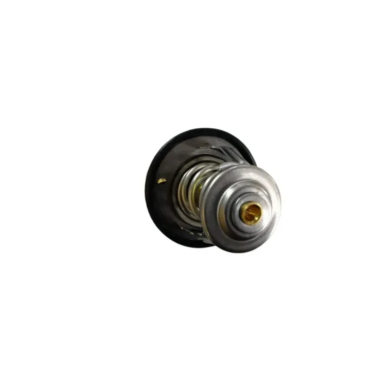 ترموستات گریت وال ولکس C30