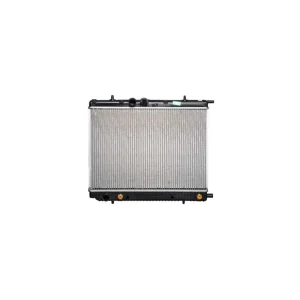 قیمت رادیات بخاری دانگ فنگ H30 CROSS