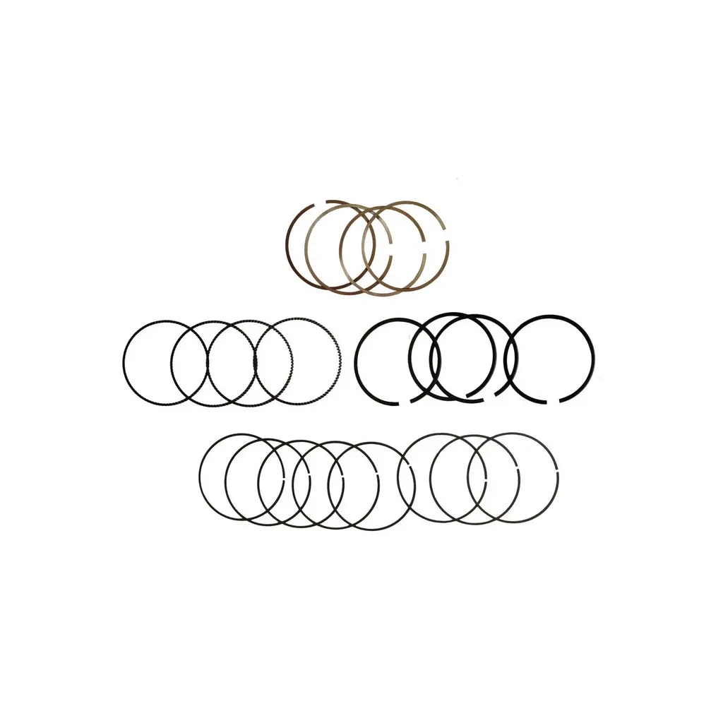 قیمت رینگ موتور جک S5