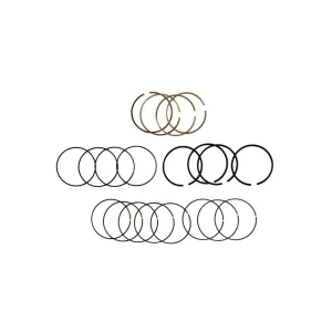 قیمت رینگ موتور چری آریزو 5 دنده و اتومات(استاندارد)