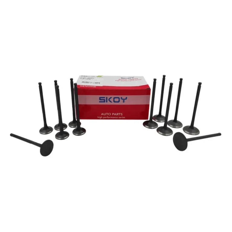 سوپاپ دود و هوا ام وی ام 110S