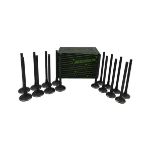 قیمت سوپاپ دود و هوا ام وی ام X55