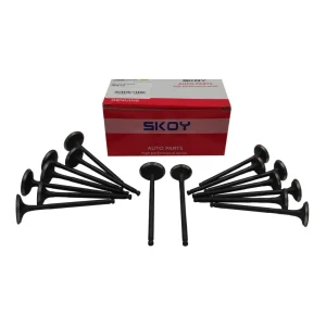 خرید سوپاپ دود و هوا راین V5