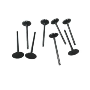 سوپاپ دود و هوا لیفان X60 و 620 (1800) اصلی